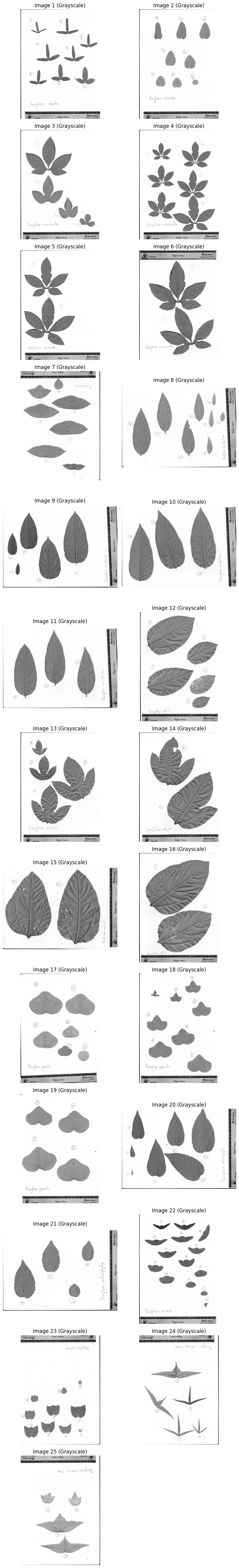 ../../_images/44764a700518eb219ff9032fa550cac9e18f879842ce395d47a0fa32fa1daab4.png