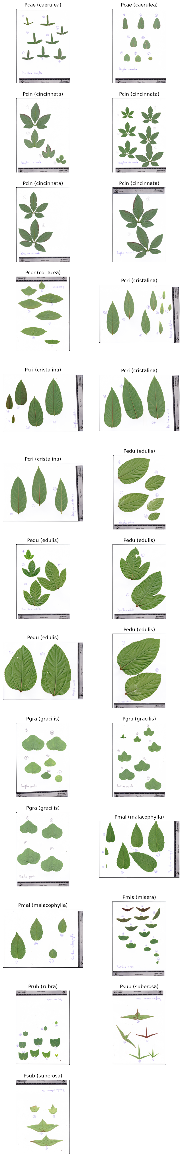 ../../_images/46d740c94c534ff3fb75ea7ddeb0db12e7b4ab0971c3b0eb8780f06bc92a59e9.png