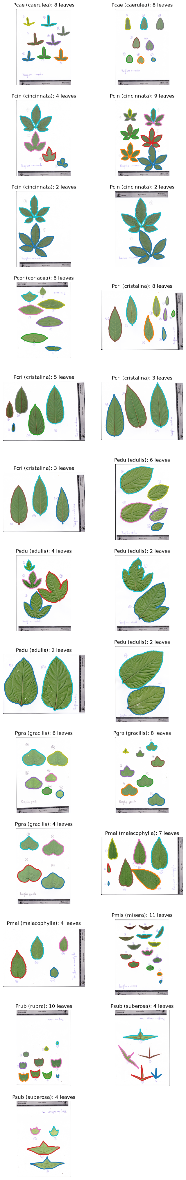 ../../../_images/5c056868a9ed5fa4b7e28dbebf266b770accc5a583bd0ad048330cbd739bc4ba.png