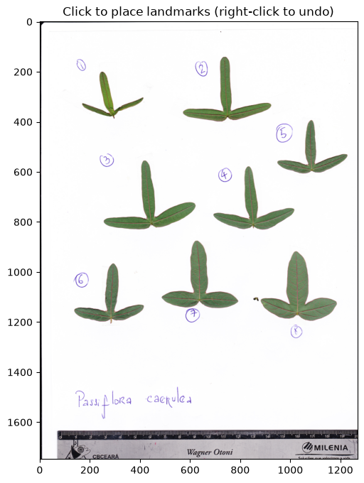 ../../../_images/adbed7c1916ca59e0d3dfbc3a932f34accac84c84f7863df64aa990534cbd47f.png