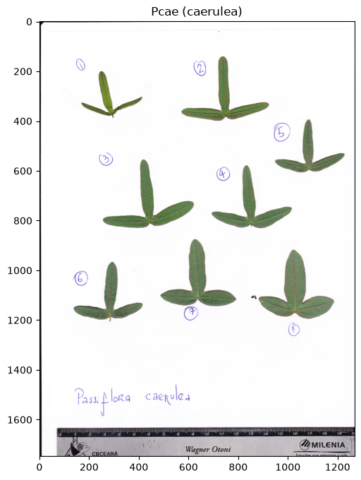 ../../../_images/eccba8c74d87af49d249c181d7e7528068c899aec0f35bc273345f00d563abb9.png