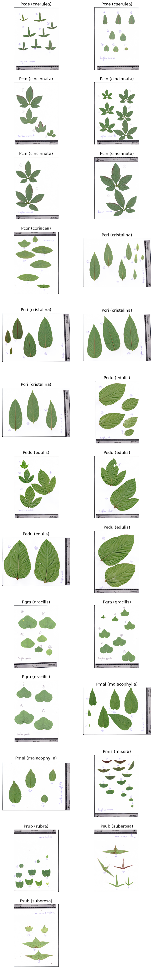 ../../../_images/edf66421f5a8e40b20cf99a783dad56ce747bfbf93cea442f63a3203a35166c1.png
